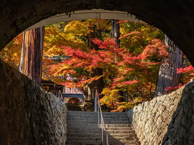 龍洞院